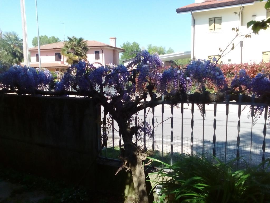 Appartamento Casa Della Nonna Noventa di Piave Eksteriør billede