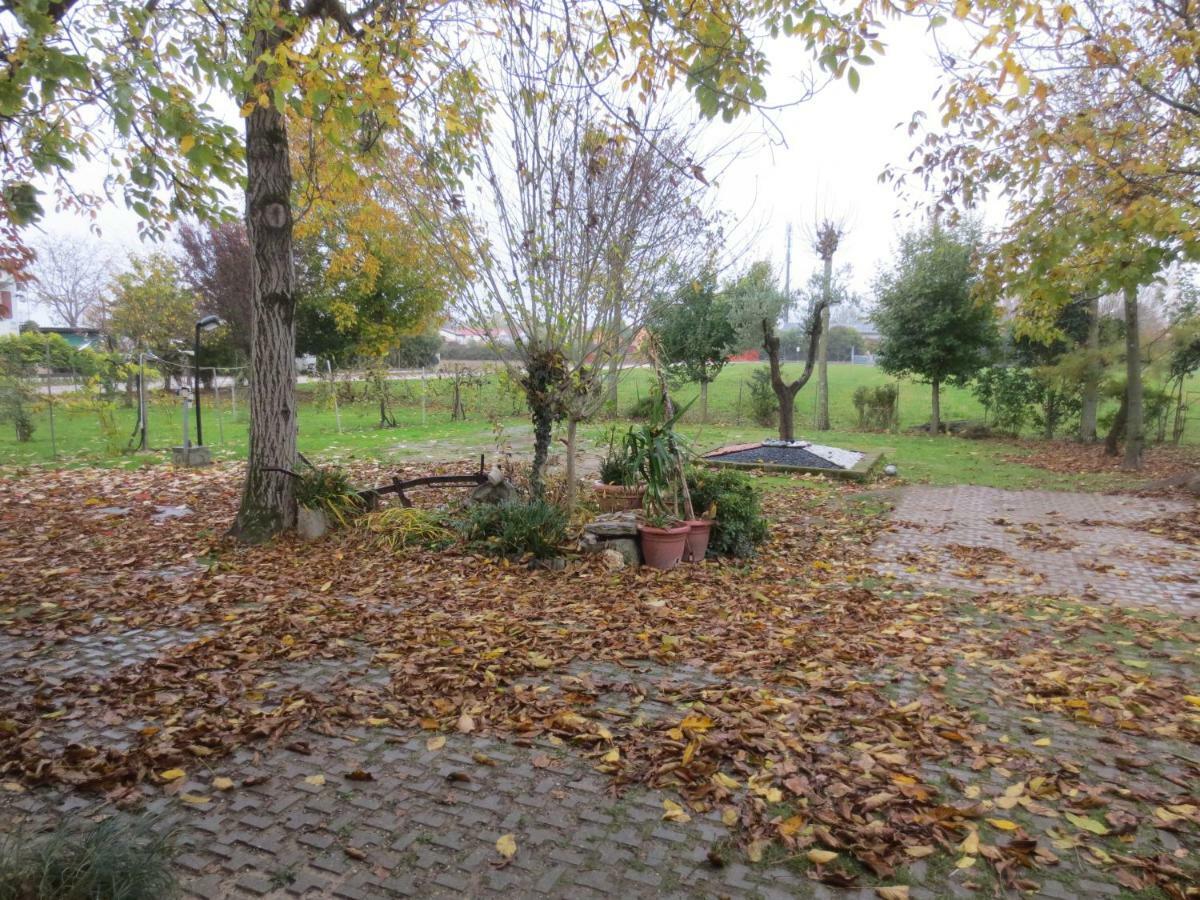Appartamento Casa Della Nonna Noventa di Piave Eksteriør billede